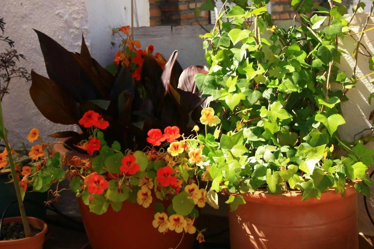 Casa Jazmin Apartment Mondujar